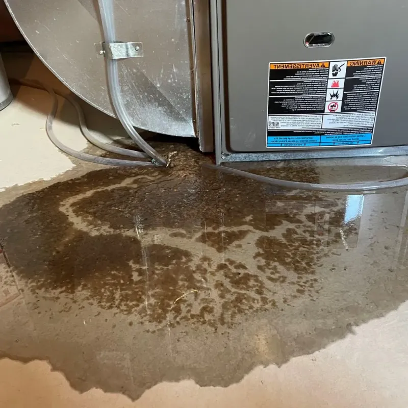 Pipe Burst and Leak Restoration in Franklin, NH