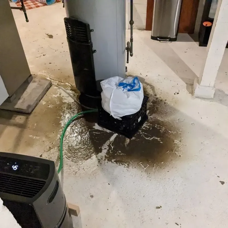 Sewage Backup Cleanup Service in Franklin, NH